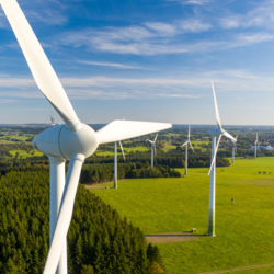 Windräder in grüner Landschaft