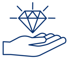 Icon Advantages 